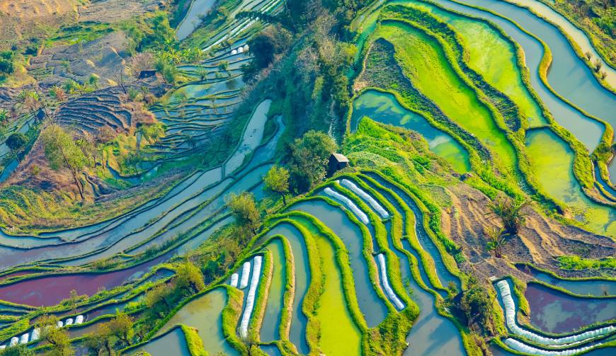 青山区产品视频拍摄